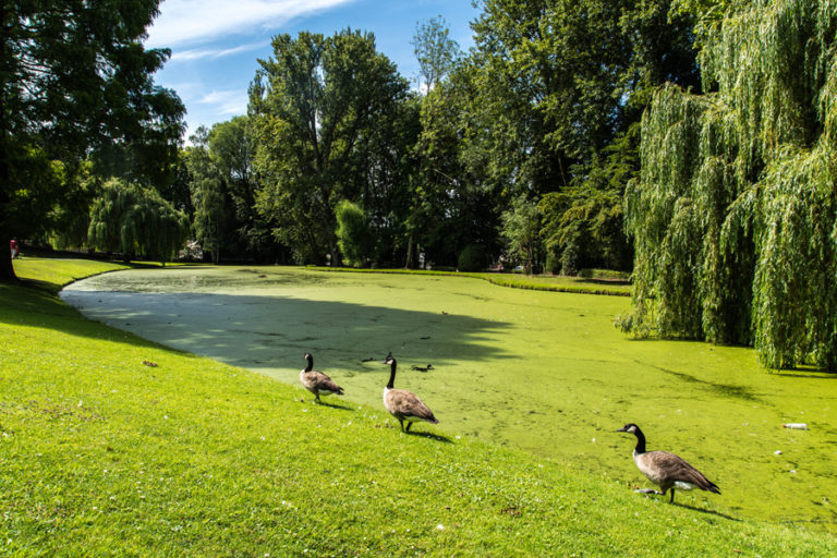 Parchi Giardini E Zone Verdi Di Bruxelles