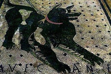 Il Mosaico del Cave canem a Pompei