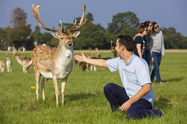 Phoenix Park a Dublino