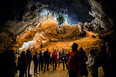 Le grotte di Postumia - Postojnska jama